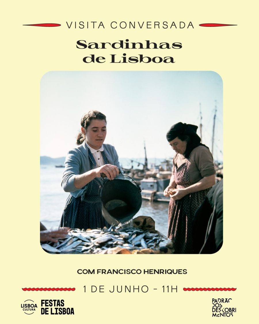 Sardinhas de Lisboa - Visita Conversada