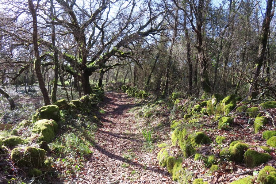 Rota das Aldeias de Alvaiázere 