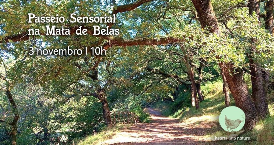 Passeio Sensorial na Mata de Belas