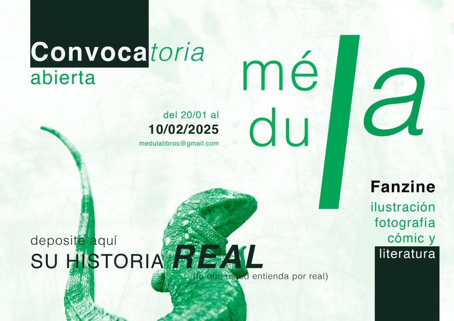 Convocatoria Médula Fanzine