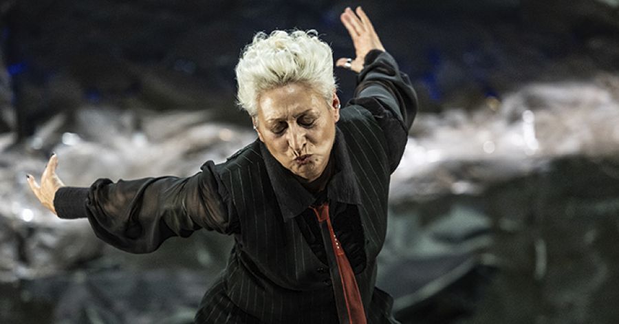 O Salvado, por Olga Roriz