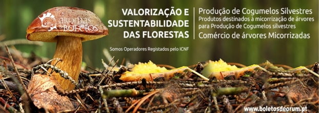 Curso avançado de produção de cogumelos Silvestres - Micorrizas