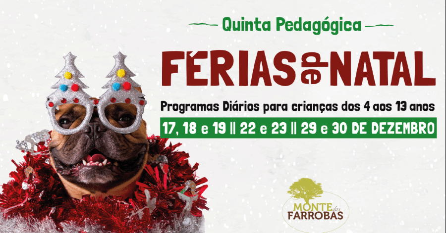 Campos de Férias de Natal