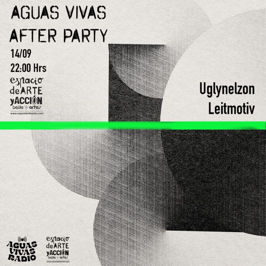 AGUAS VIVAS AFTER PARTY 24