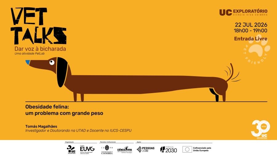 Vet Talks - Obesidade felina: um problema com grande peso