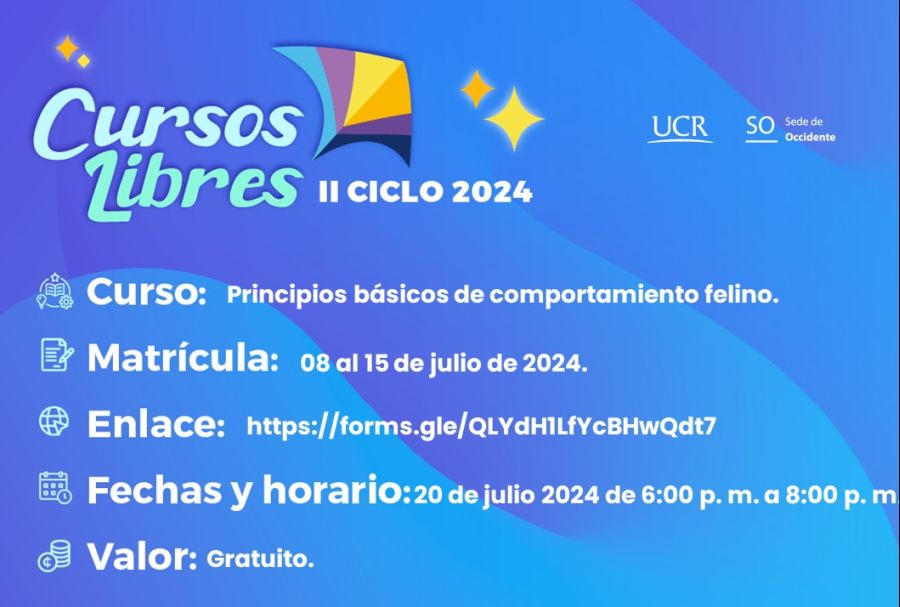 Charla gratuita Principios básicos de comportamiento felino