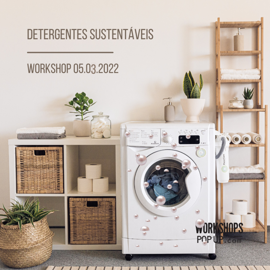 Workshop de Detergentes Sustentáveis