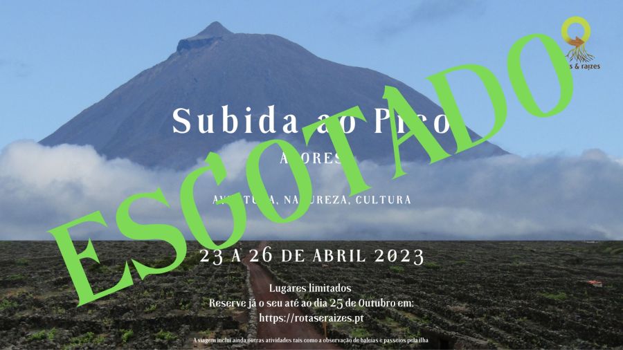 Subida ao Pico - Açores 2023 (ESGOTADO)