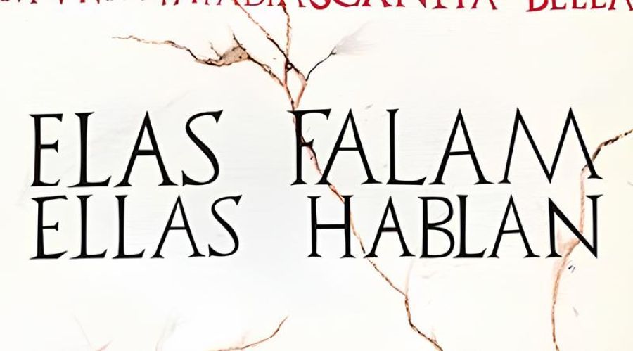 Exposição ● Elas falam