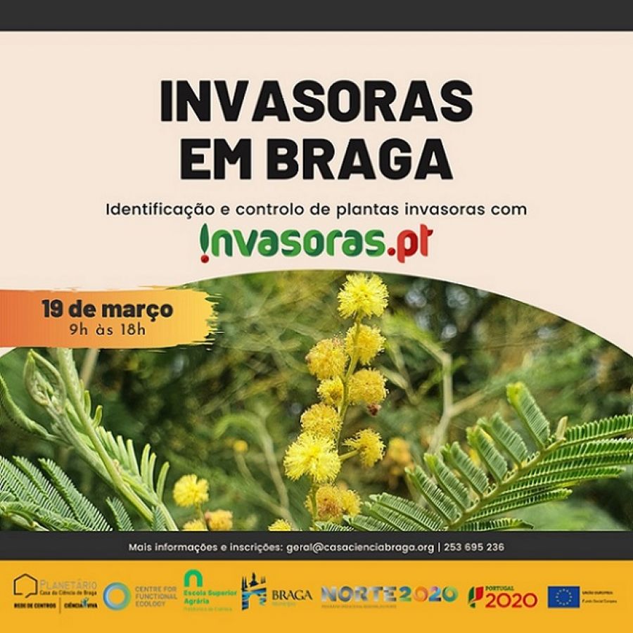 Invasoras em Braga