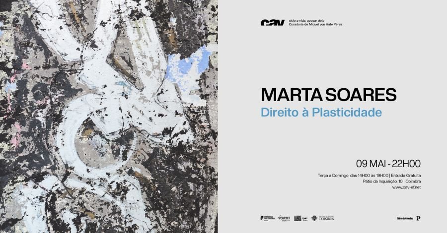 Direito à Plasticidade - Marta soares