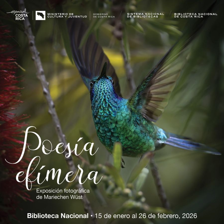 Inauguración. 'Poesía efímera', de Mariechen Wust