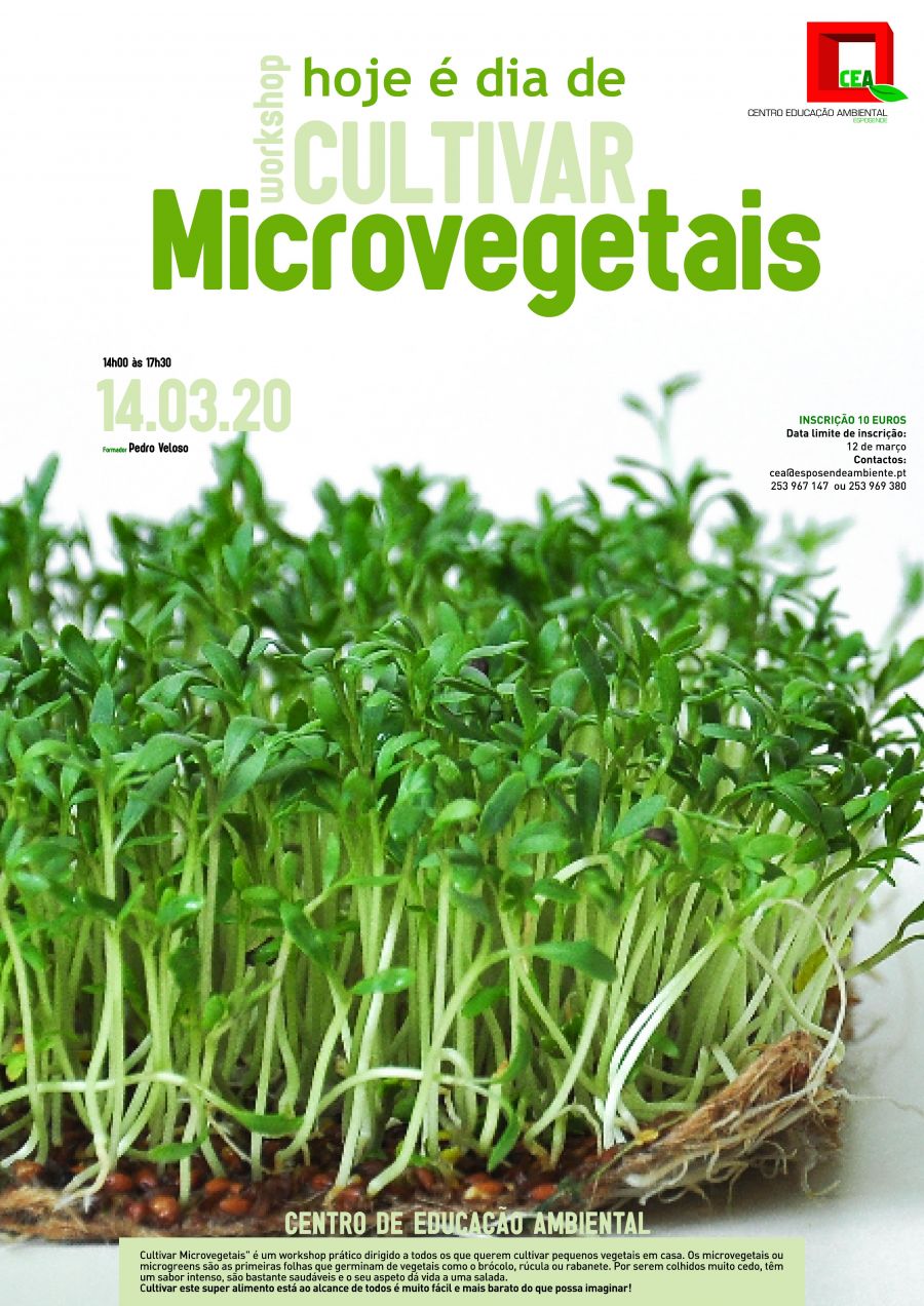 Workshop 'Hoje é dia de: Cultivar Microvegetais'