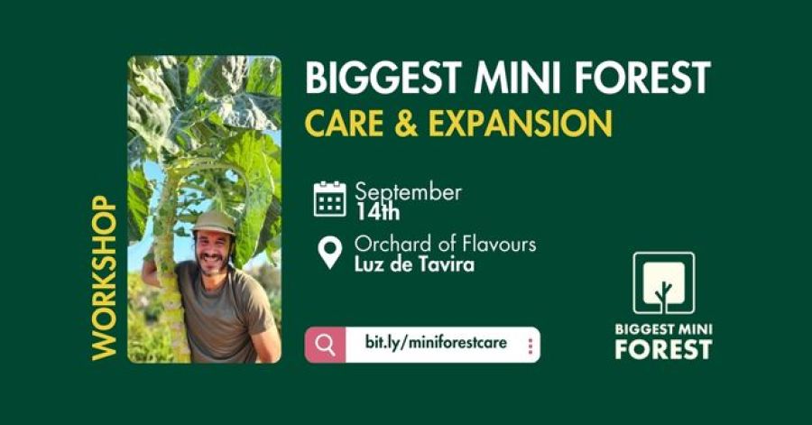 Biggest Mini Forest: Care & Expansion Workshop