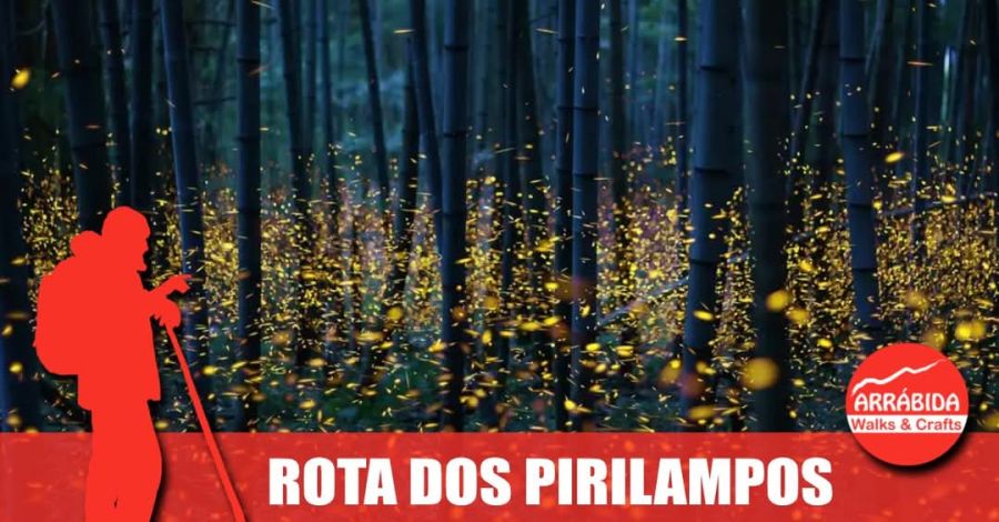 Caminhada . Rota dos Pirilampos . Azeitão 