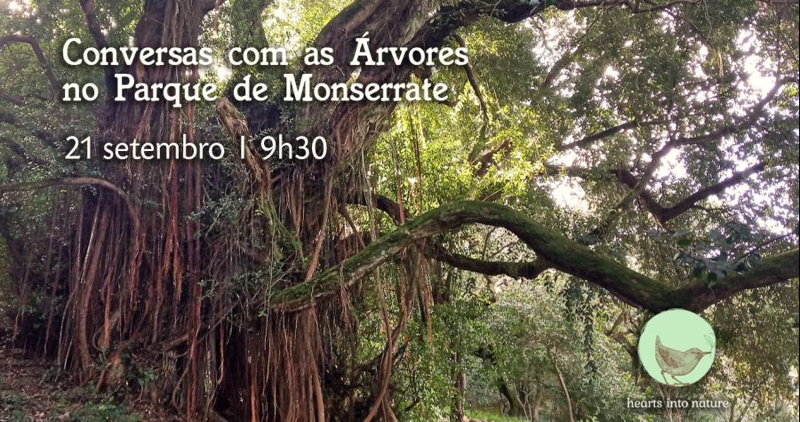 Conversas com as Árvores no Parque de Monserrate