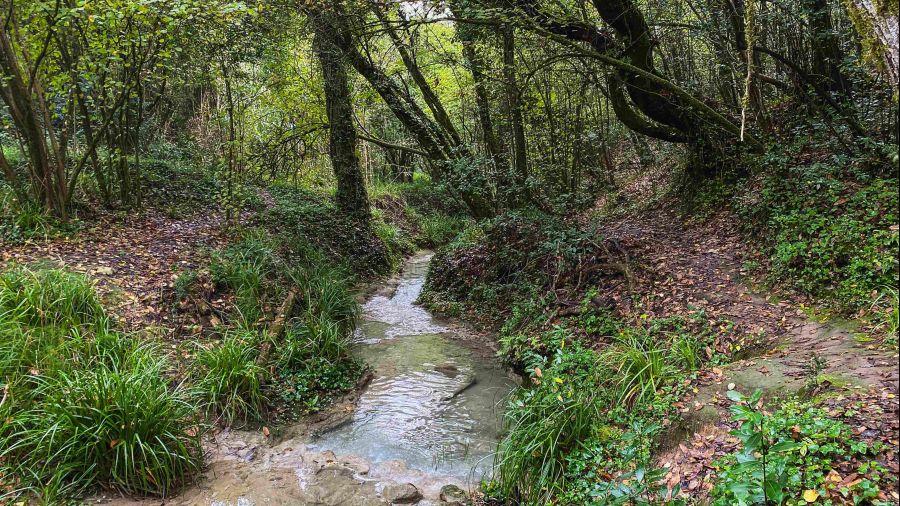 Encantos Naturais de Maceira: Trilho da Ribeira do Arneiro