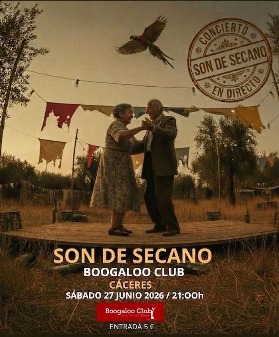 Son de Secano en concierto