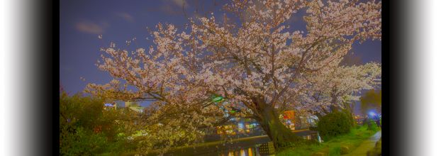 Fotografía. Japón: Imágenes de primavera, de Rodrigo Rubí