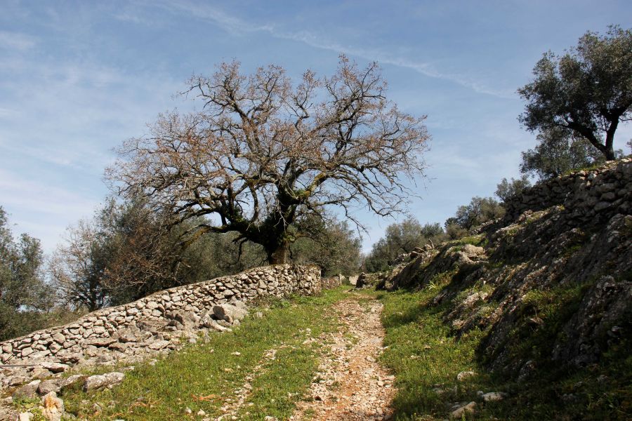 Caminhada de Reis  - Pelos Trilhos da Serra da Mendiga