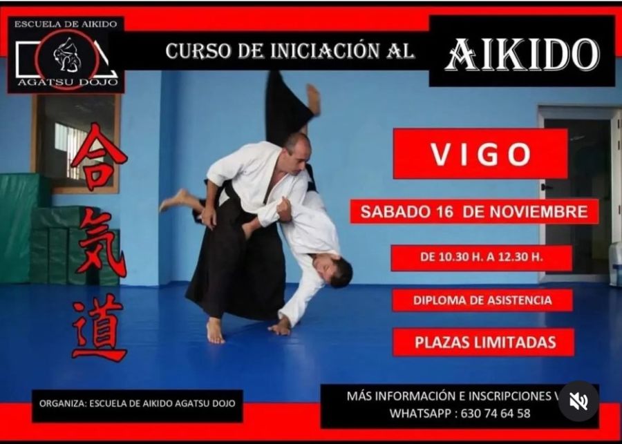 CURSO DE INICIACIÓN AL AIKIDO