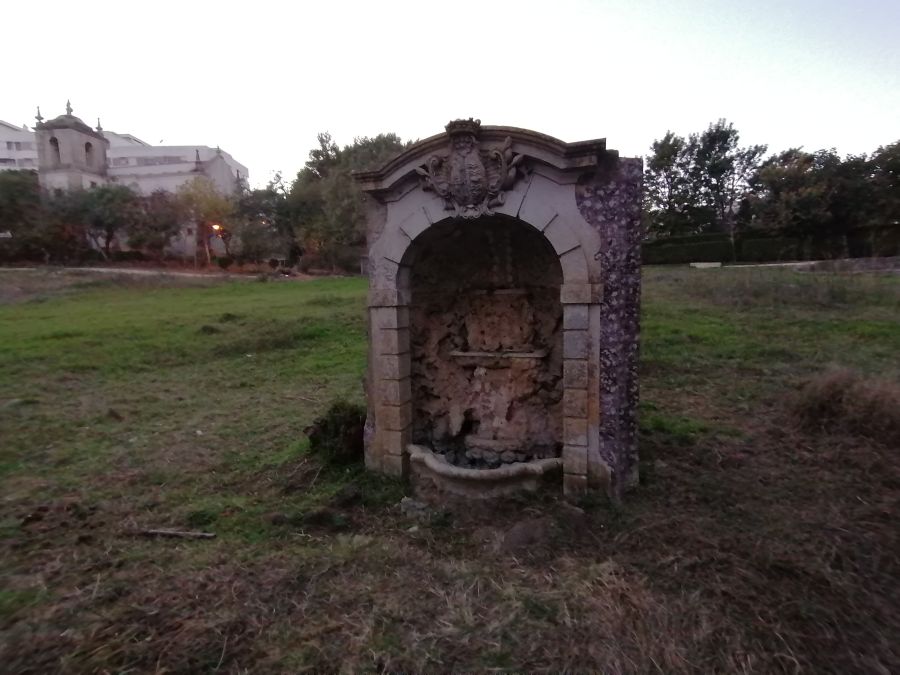 As Plantas Silvestres Comestíveis e outras PANCS da Quinta da Piedade (Póvoa de Santa Iria)