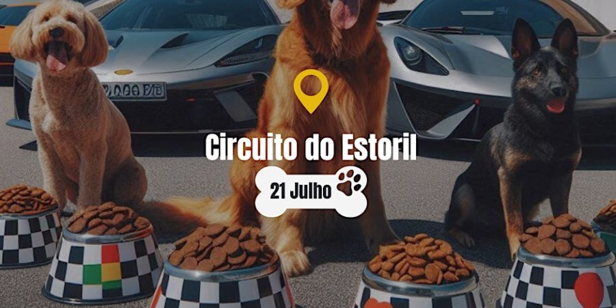 Evento Solidário Cargurlz – Estoril Experience Day