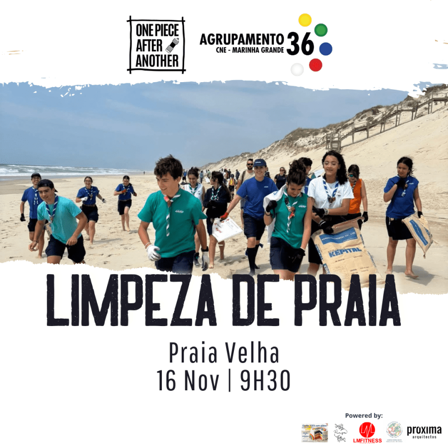 Limpeza Praia Dia do Mar