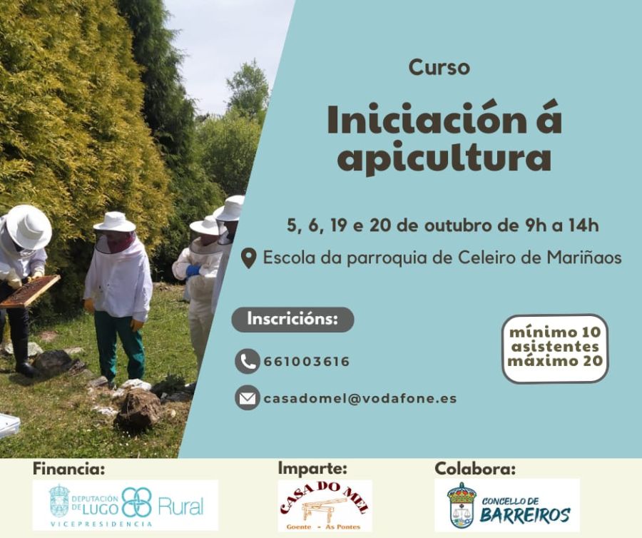 Curso sobre iniciación á apicultura