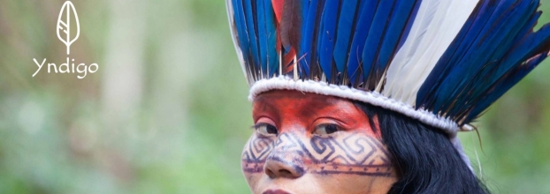 Curso Cura Xamânica da Amazónia