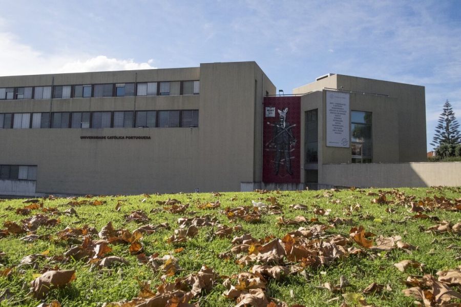 Escola das Artes marca presença em três competições do Curtas Vila do Conde 2025