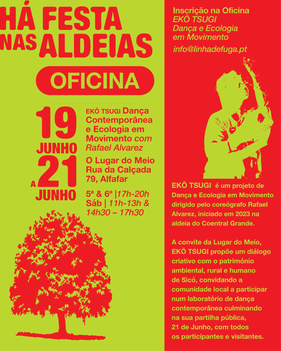 Workshop Dança e Ecologia em Movimento - Há Festa nas Aldeias