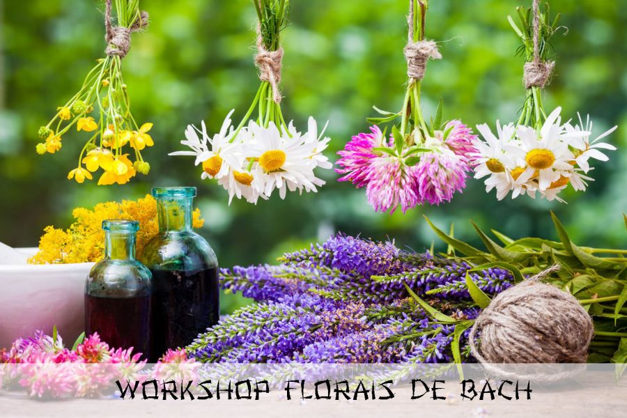 Workshop de Florais de Bach