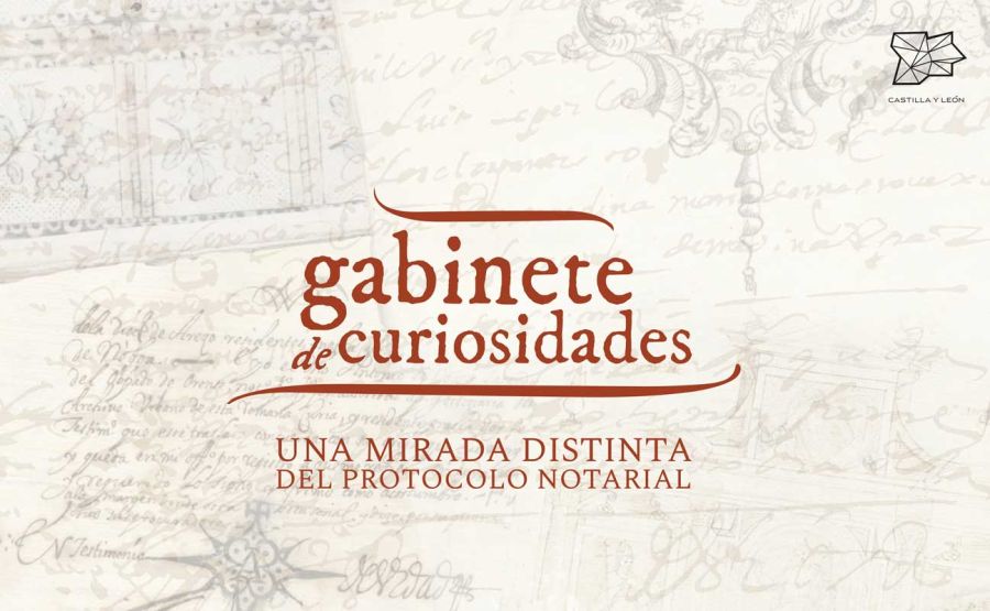 Exposición “Gabinete de curiosidades, una mirada distinta de...
