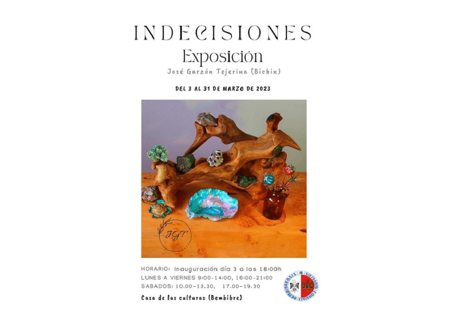 INDECISIONES EXPOSIÓN BICHIN