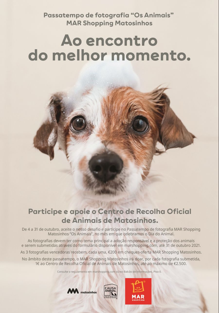 MAR Shopping Matosinhos lança passatempo de fotografia com vertente solidária para assinalar o Dia do Animal