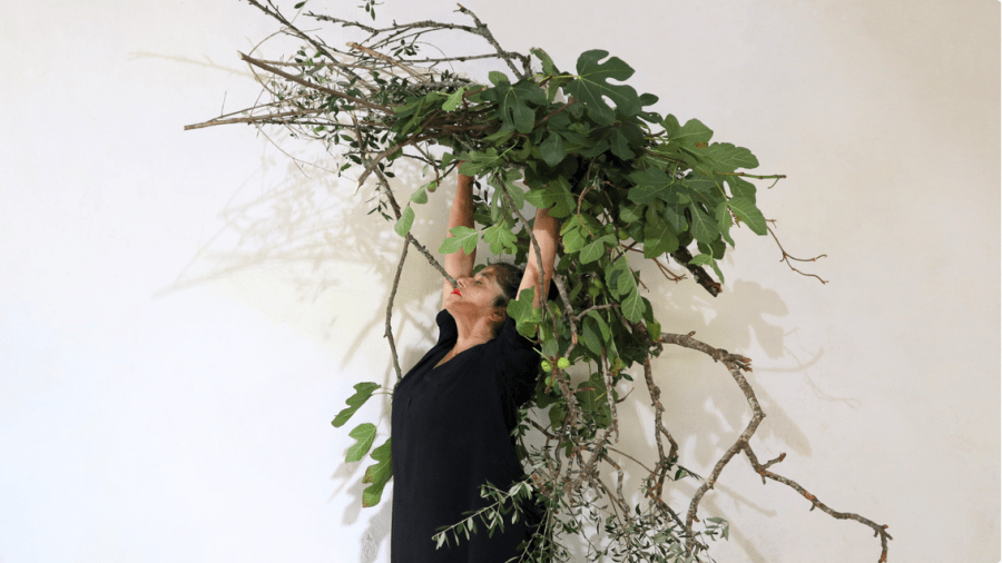 Palestra 'A Minha História da Dança' por Carlota Lagido
