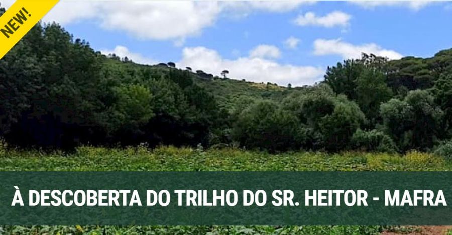À DESCOBERTA DO TRILHO DO SR. HEITOR - MAFRA