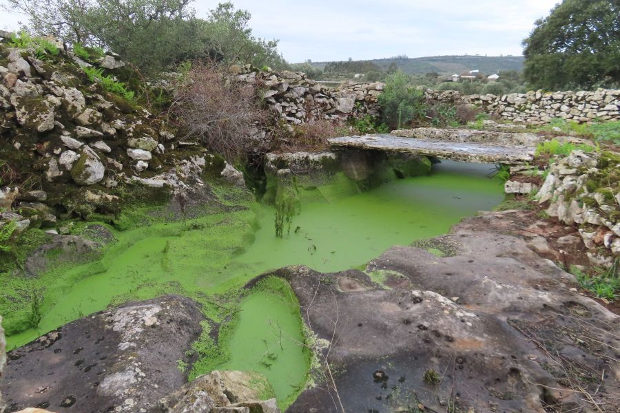 À Descoberta das Pias do Planalto de Santo António