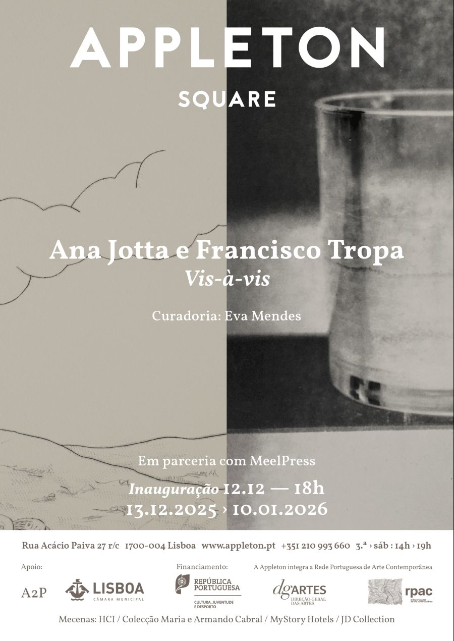 Ana Jotta e Francisco Tropa: Vis-à-vis