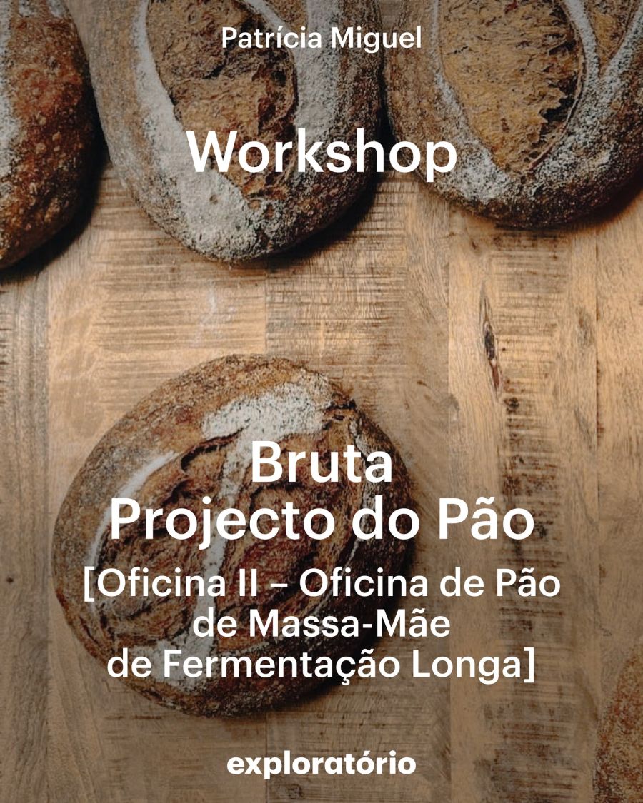 Oficina II – Pão de Massa Mãe de Fermentação Longa