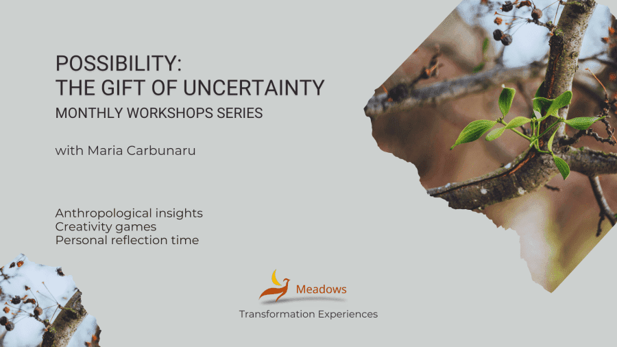 Workshop - Possibility: the gift of Uncertainty