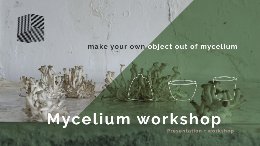MMOW l Make Mycelium Objects Workshop