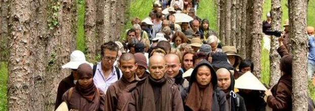 Sangha da Paz | Meditação & Budismo - Mestre Thich Nhat Hanh