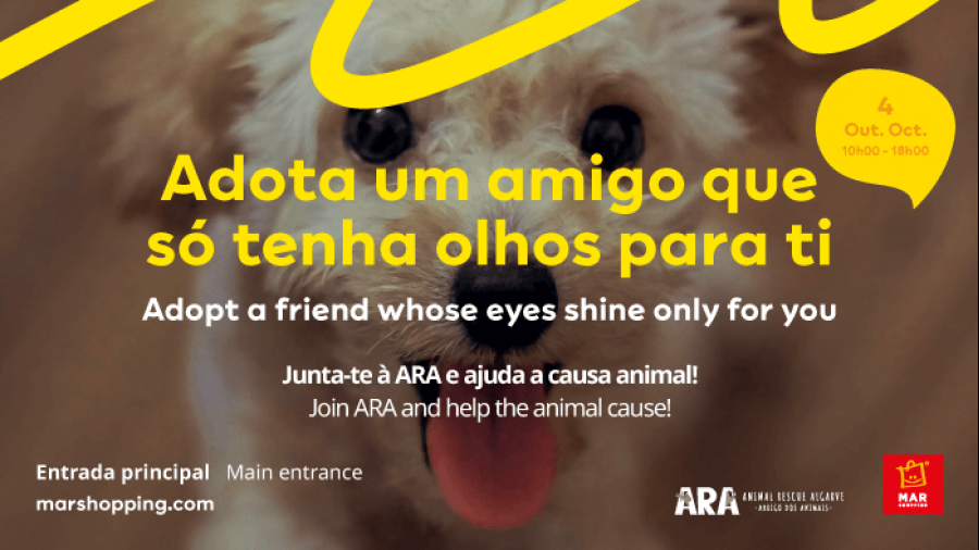 Dia do Animal e campanha de adoção no MAR Shopping Algarve
