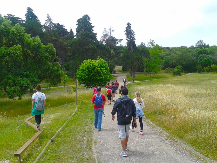 Caminhada Miradouros de Monsanto com Yoga - 6 de Outubro 2024