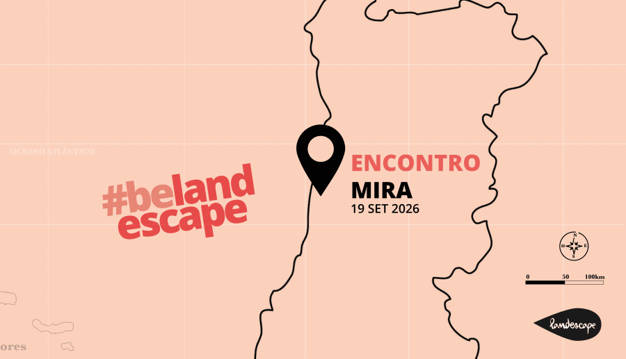 Encontro de Viajantes | Mira