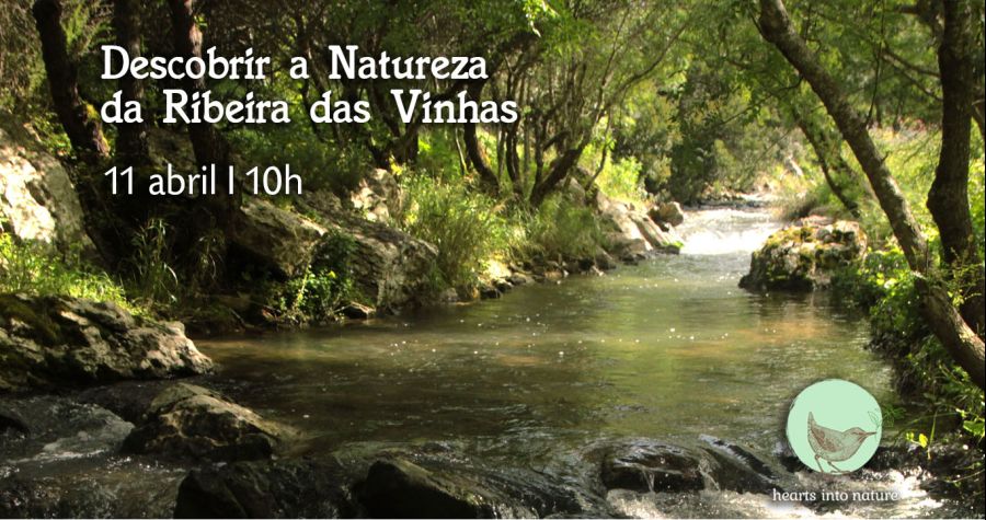 Descobrir a Natureza da Ribeira das Vinhas