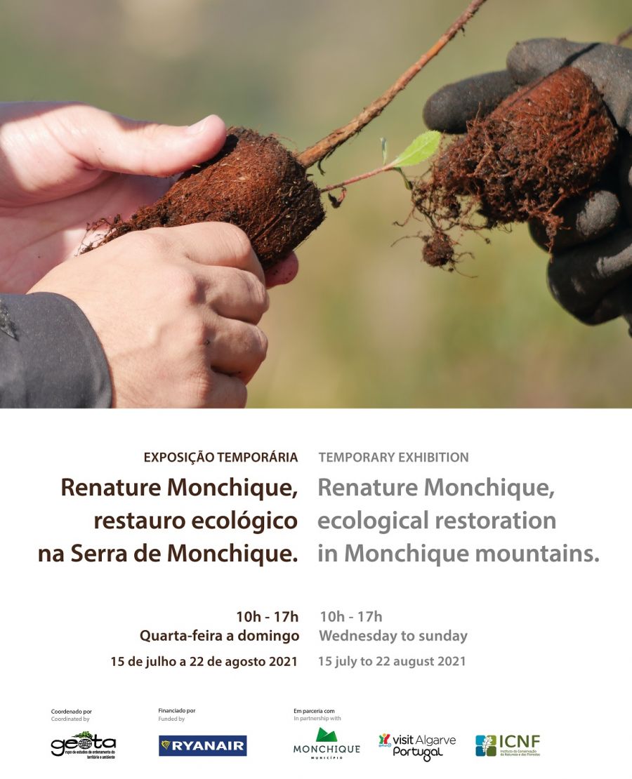 Renature Monchique, restauro ecológico na Serra de Monchique
