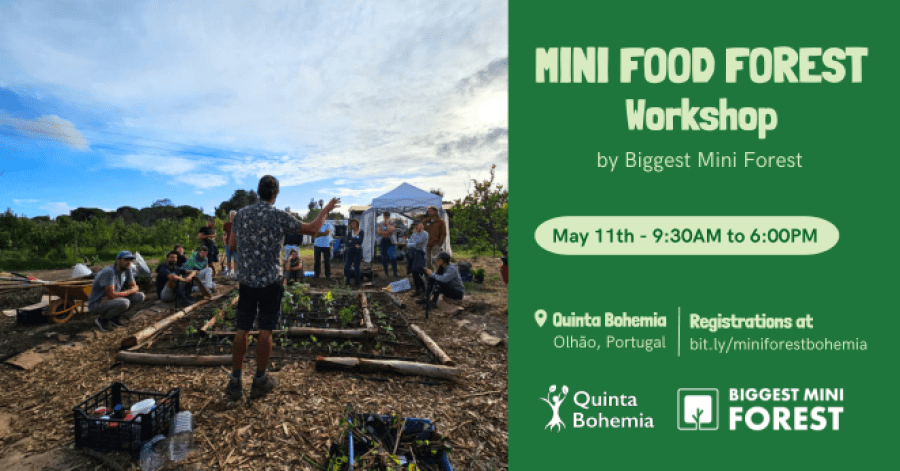 Mini Food Forest Workshop